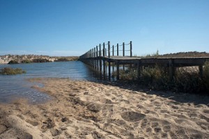 -Puente de acceso a la play sobre la Ría Formosa-Niel Holtzappel