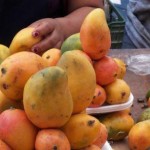 Mango africano propiedades adelgazantes y precauciones