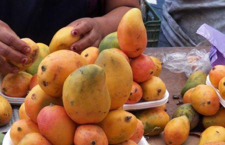 Propiedades del mango africano