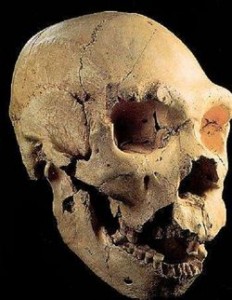 Mandíbula y cráneo encontrados en Atapuerca (imagen dominio público)