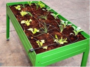 La mesa de cultivo facilita  el espacio en un huerto urbano en terrazas o balcones.