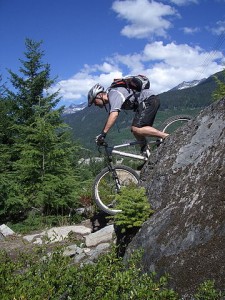360px-Whistler_2006
