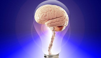 cerebro y amnesia