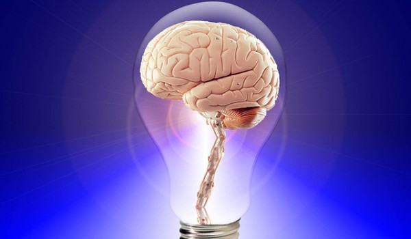 cerebro y amnesia