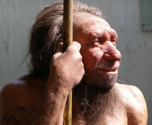 hombre de neandertal