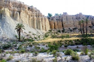 "Oasis" en el desierto de Mahoya