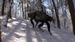 Robots con forma animal