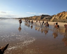 Recorriendo las playas de Doñana a caballo