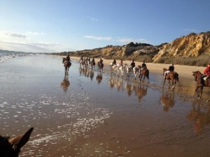Recorriendo las playas de Doñana a caballo