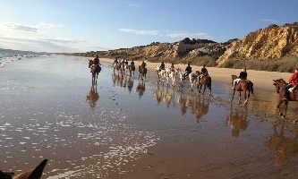 Recorriendo las playas de Doñana a caballo