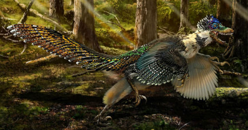 Velociraptor dinosaurio plumas china alas