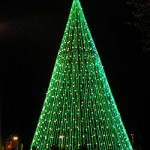 Mejores árboles de Navidad para visitar