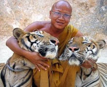 Un monje del Templo del Tigre acompañado por dos felinos