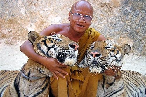 Un monje del Templo del Tigre acompañado por dos felinos