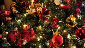 Árbol de Navidad adornado en rojo, dorado y verde.
