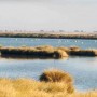 640px-Wetlands_in_Donana