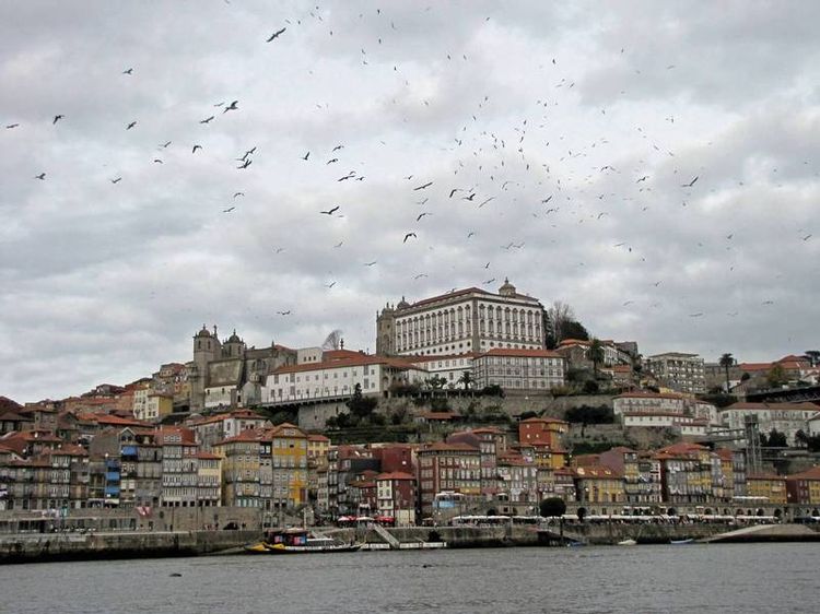 Turismo en Oporto, Norte de Portugal: qué ver, mejores guías de viaje