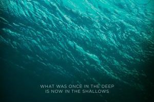 the_shallows-440308375-mmed