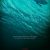 the_shallows-440308375-mmed