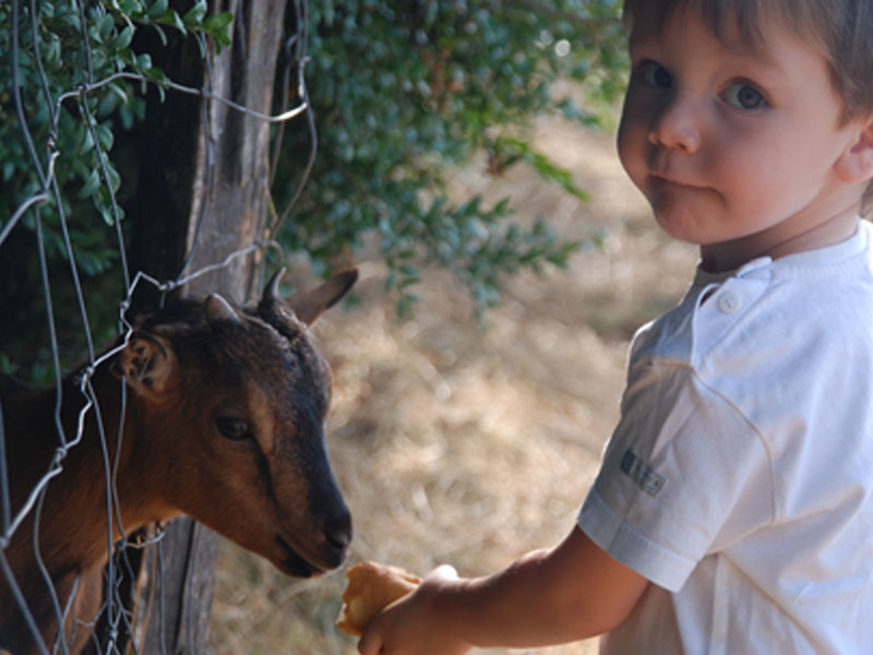 Mejores casas rurales granjas en España para ir con niños