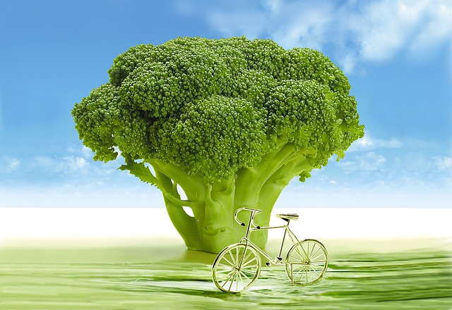 Brócoli, alimento antienvejecimiento