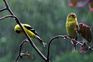 Consejos y recomendaciones