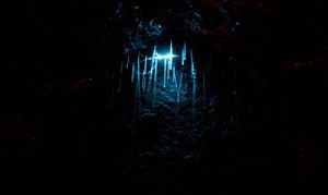 Cueva de Waitomo