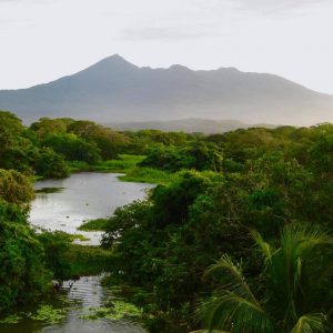 Vegetación del Volcán Mombacho, rain forest