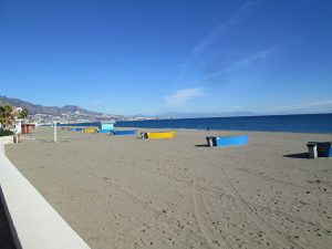 En Andalucia cada vez existen más playas para perros, siendo Málaga la provincia con mayor número de ellas