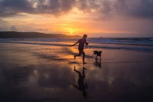 Las playas para perros se ha incrementado en más de un 30% con respecto al pasado año.